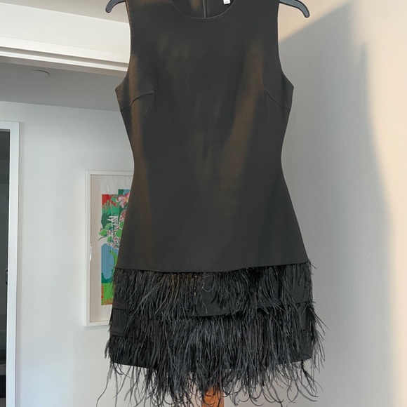 Elizabeth and James Black Ostrich Feather Dress - Picture 3 of 4